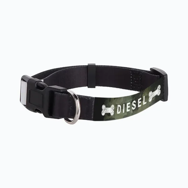 Personalized Adjustable Pet Collar, 12"-20"x.75"