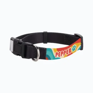Personalized Adjustable Pet Collar, 10"-12"x.625" - Retro