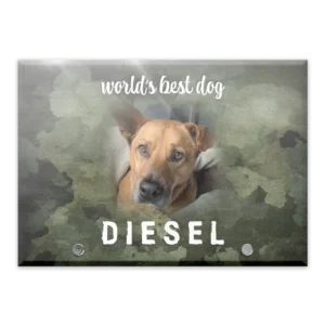 Glass Plaque - Large Landscape - Camo