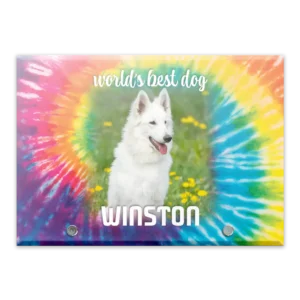 Glass Plaque - Large Landscape - Tiedye