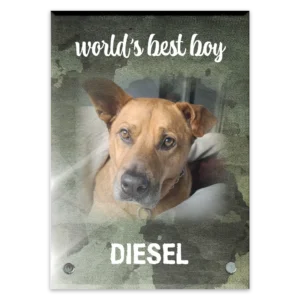 Glass Plaque - Large Portrait - Camo