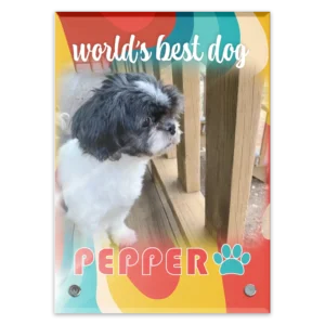 Glass Plaque - Large Portrait - Retro