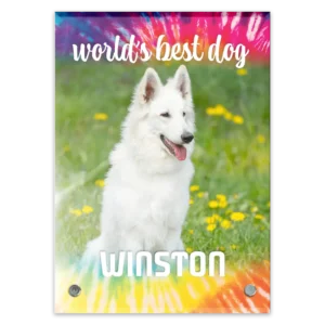 Glass Plaque - Large Portrait - Tiedye