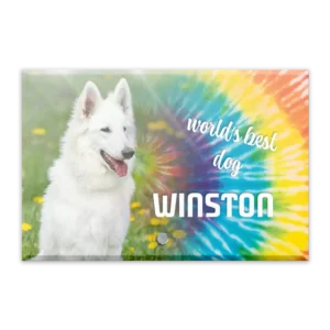 Glass Plaque - Small Landscape - Tiedye