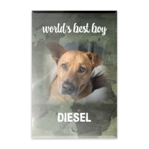 Glass Plaque - Small Portrait - Camo