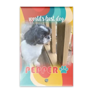 Glass Plaque - Small Portrait - Retro