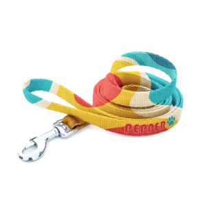 Personalized Pet Leash - Retro