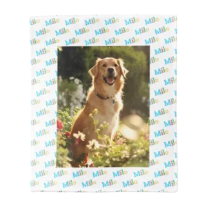 Personalized Pet Blanket, Large - Pattern