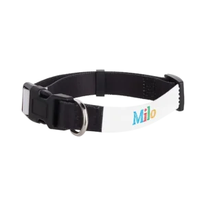 Personalized Adjustable Pet Collar, 10"-12"x.625" - Pattern