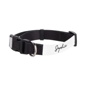 Personalized Adjustable Pet Collar, 10"-12"x.625" - Sophie