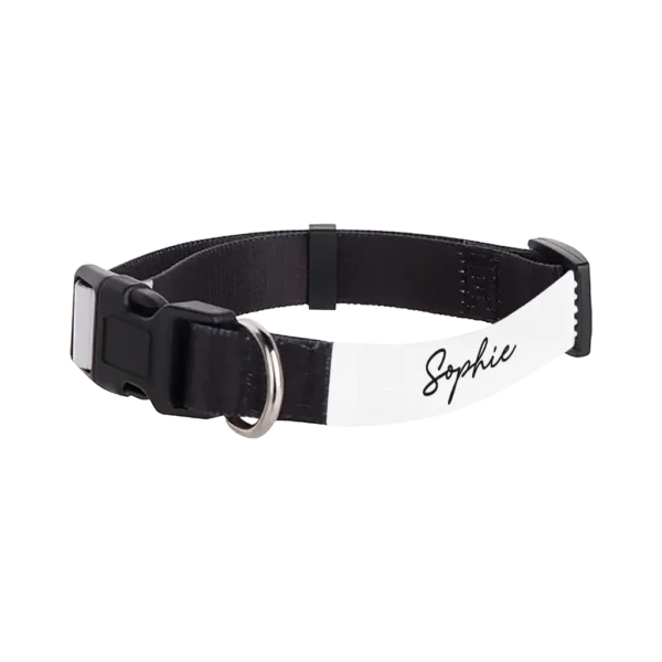 Personalized Adjustable Pet Collar, 10"-12"x.625" - Sophie