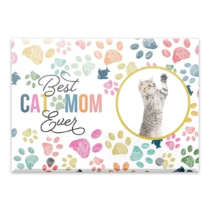 Glass Plaque - Large Landscape - Colorful (Cat)