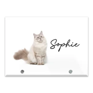 Glass Plaque - Large Landscape - Sophie