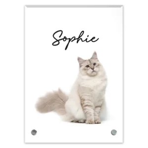 Glass Plaque - Large Portrait - Sophie