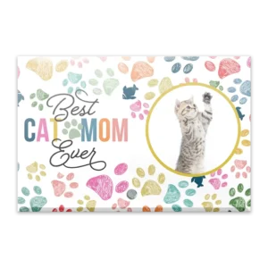 Glass Plaque - Small Landscape - Colorful (Cat)