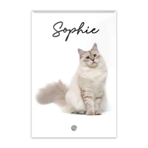 Glass Plaque - Small Portrait - Sophie